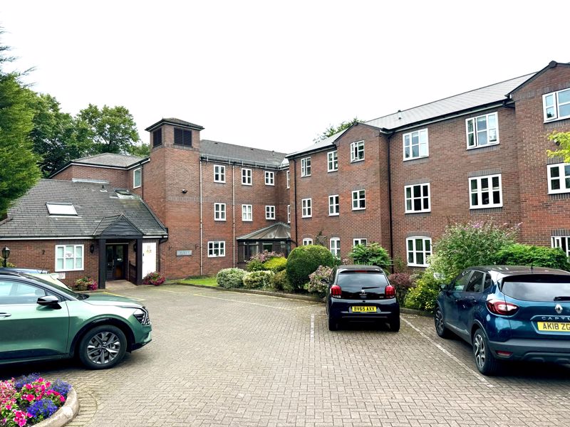 Main Image